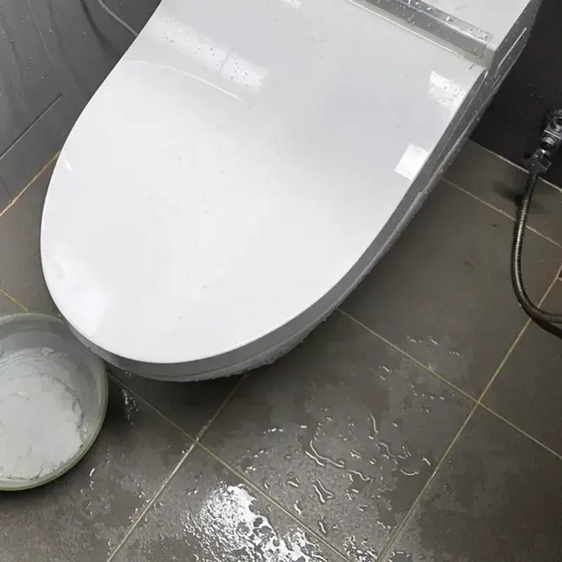 전 지역 변기막힘