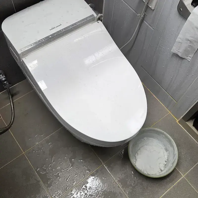 전 지역 변기막힘
